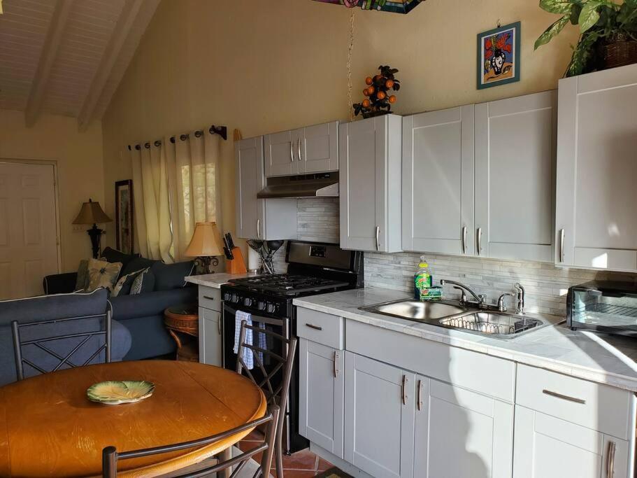 The Cottage at Villa Indigo Charlotte Amalie Exteriör bild
